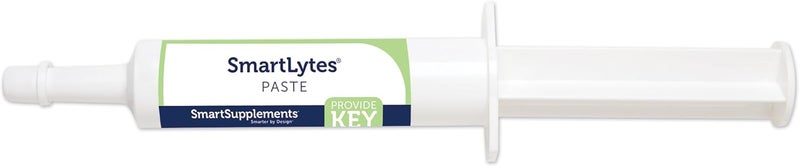 SmartEquine SmartLytes Paste Horse Electrolyte Paste | Encourages Hydration | Replenishes Electrolytes | No Added Sugar | Apple Banana Flavor | Pack of 6 Tubes - Image 2